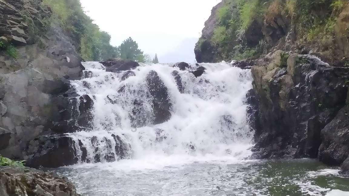 梦想之森